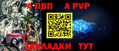 шишки Бийск